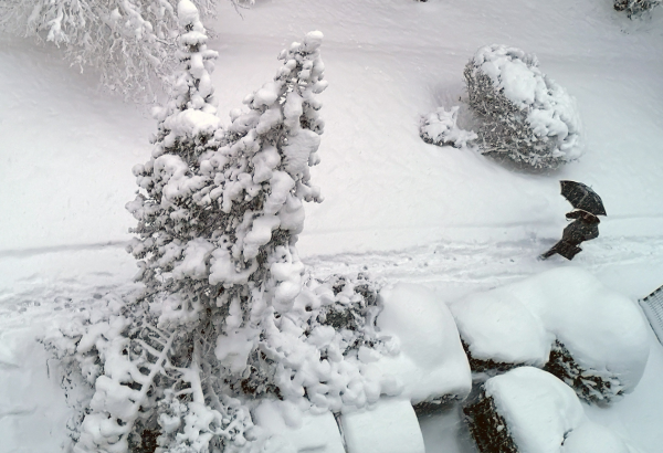 Noodtoestand in Alpen: hele dorpen door sneeuw afgesloten van buitenwereld