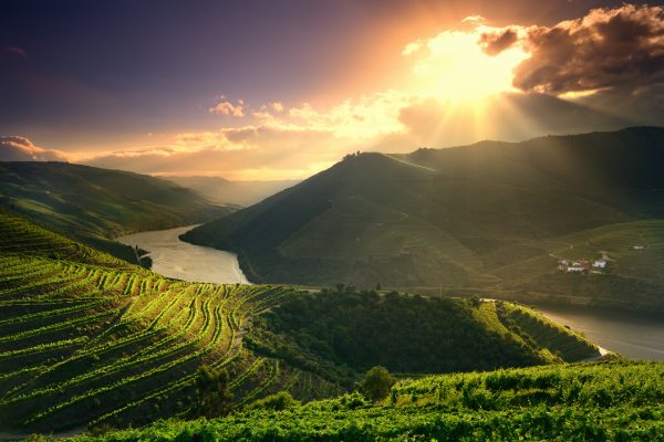 Maak kennis met Portugals best bewaarde wijngeheim: het Douro gebied