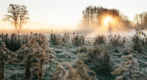 'Winter is (eindelijk) coming': hele week temperaturen onder nul