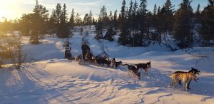 Lege pistes en magische luchten: waarom wintersport in Noorwegen net een sprookje is