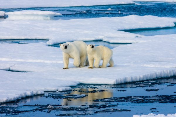 Wat een (pijnlijk) verschil: 7 x '10 Year Challenge'-foto's van de klimaatverandering