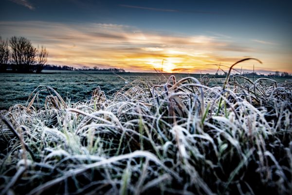 Koning Winter is hier: koudste nacht tot nu toe, zelfs -10 in Leeuwarden