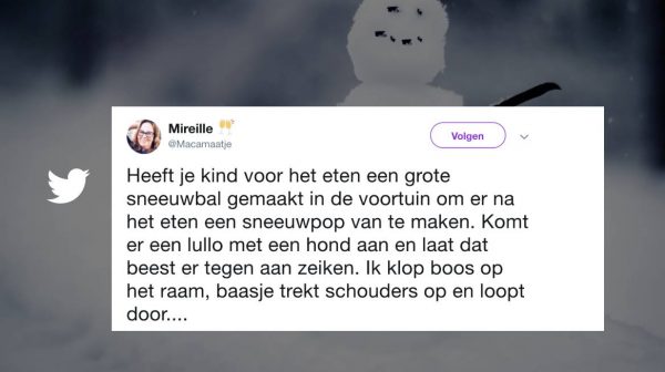 Van slippen in de stoel tot een hele witte boel: 20 x zo zag jullie dag in de sneeuw eruit