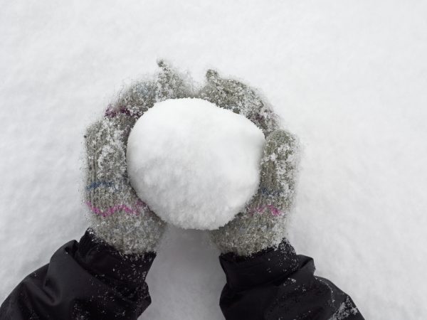 Sneeuwballengevecht tussen politieagenten en leerlingen zorgt voor deze geinige beelden