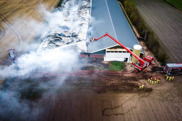 Stalbranden kostten bijna 122.000 dieren het leven in 2018