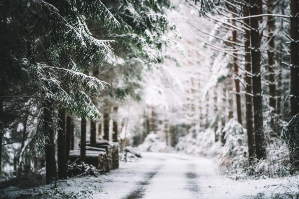 De strooiwagens kunnen de weg weer op: woensdag kans op sneeuw