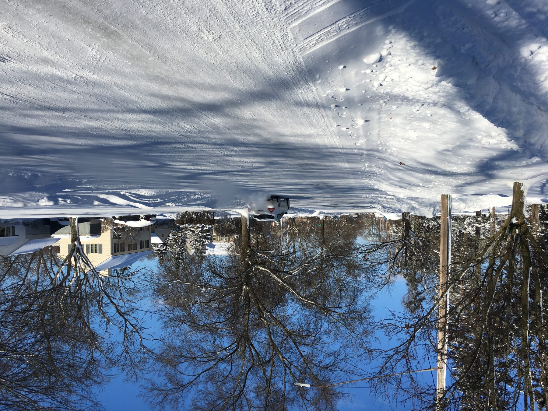 Anita woont in Michigan, waar het nu -27 graden is: 'Het is hier kouder dan op Antarctica'