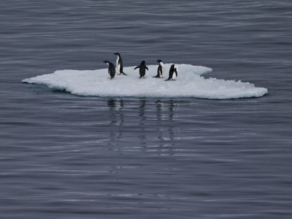 Maike over klimaatspijbelen: 'Helemaal prima, maar dan ook korter douchen aub'