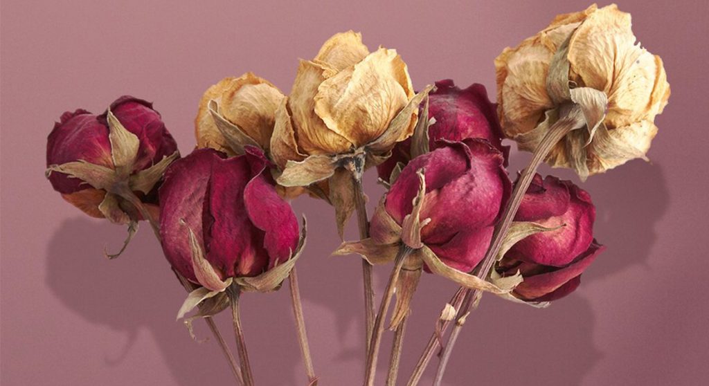 pleurop valentijnsdag relatie