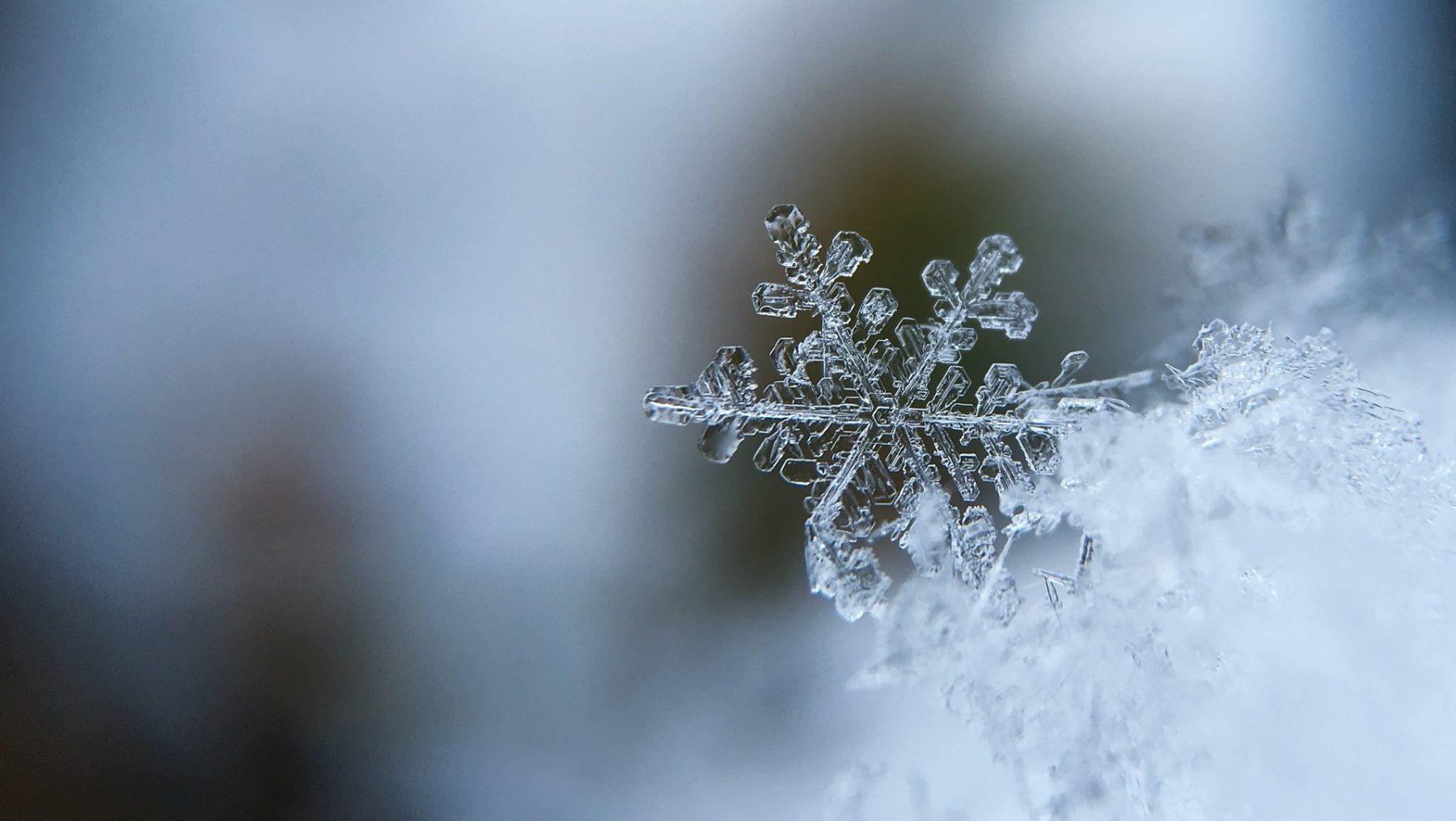 sneeuw Hawaï