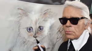 Thumbnail voor 'Karl Lagerfeld laat deel van zijn fortuin na aan zijn grote liefde, de kat Choupette'