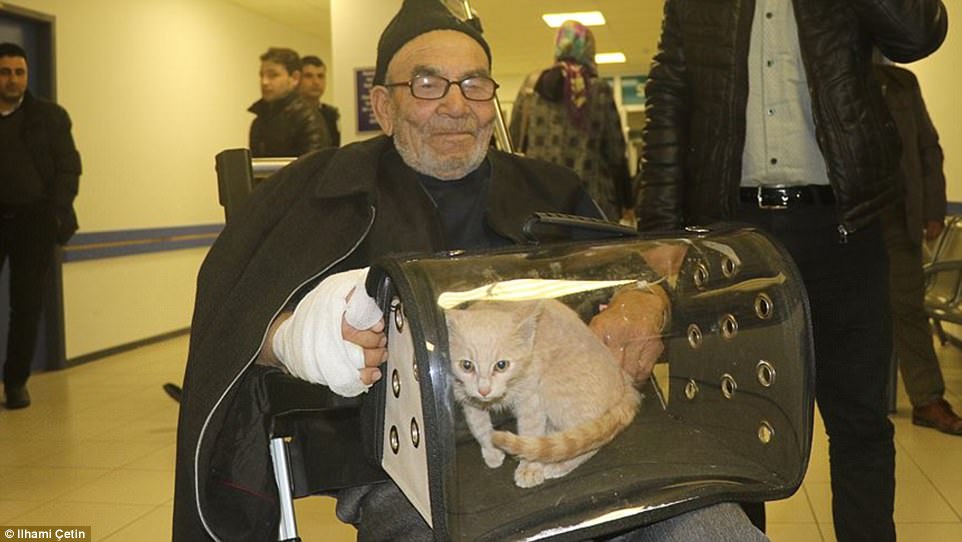 Ali heft alleen nog kitten