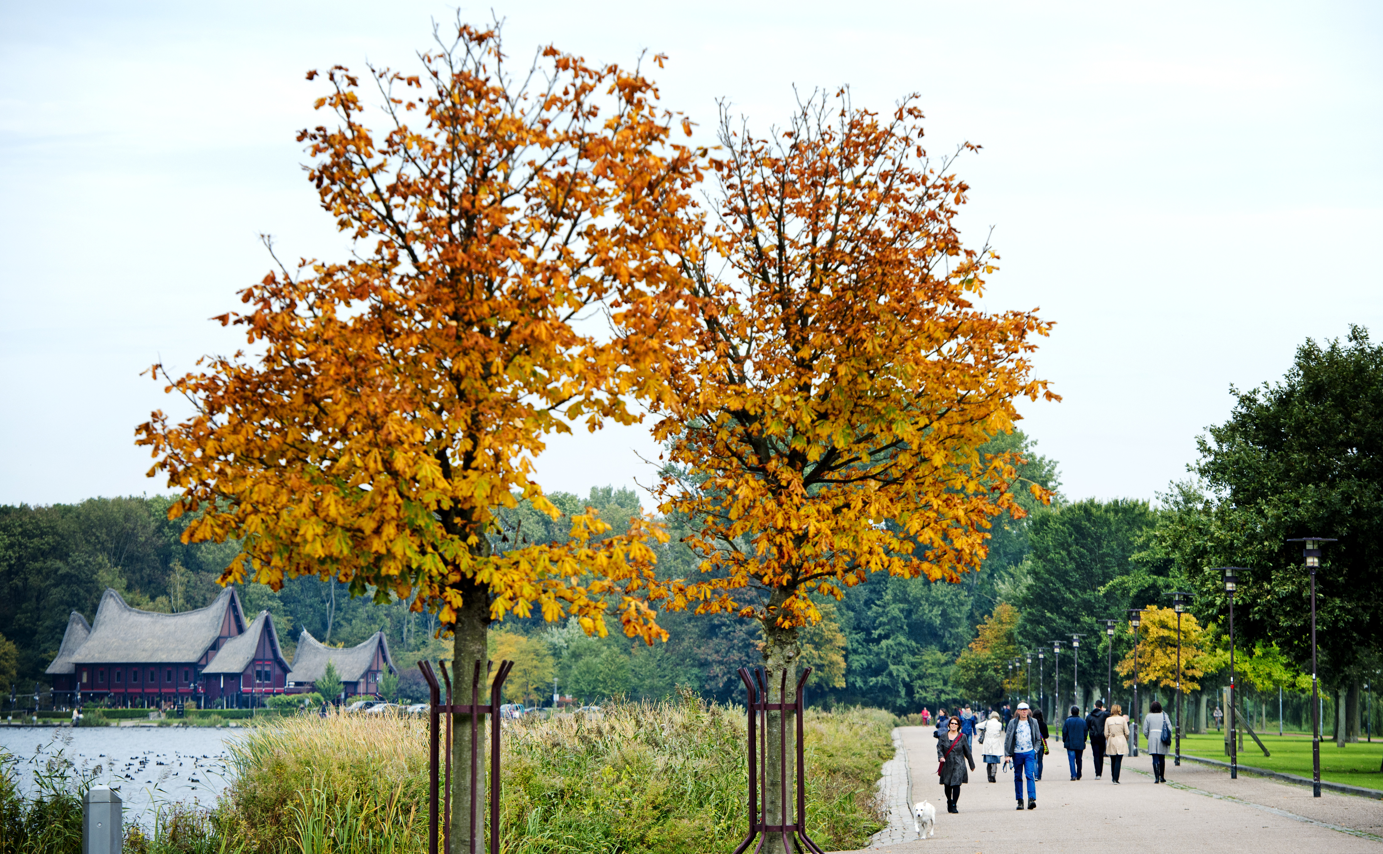 Kralingse Plas Rotterdam