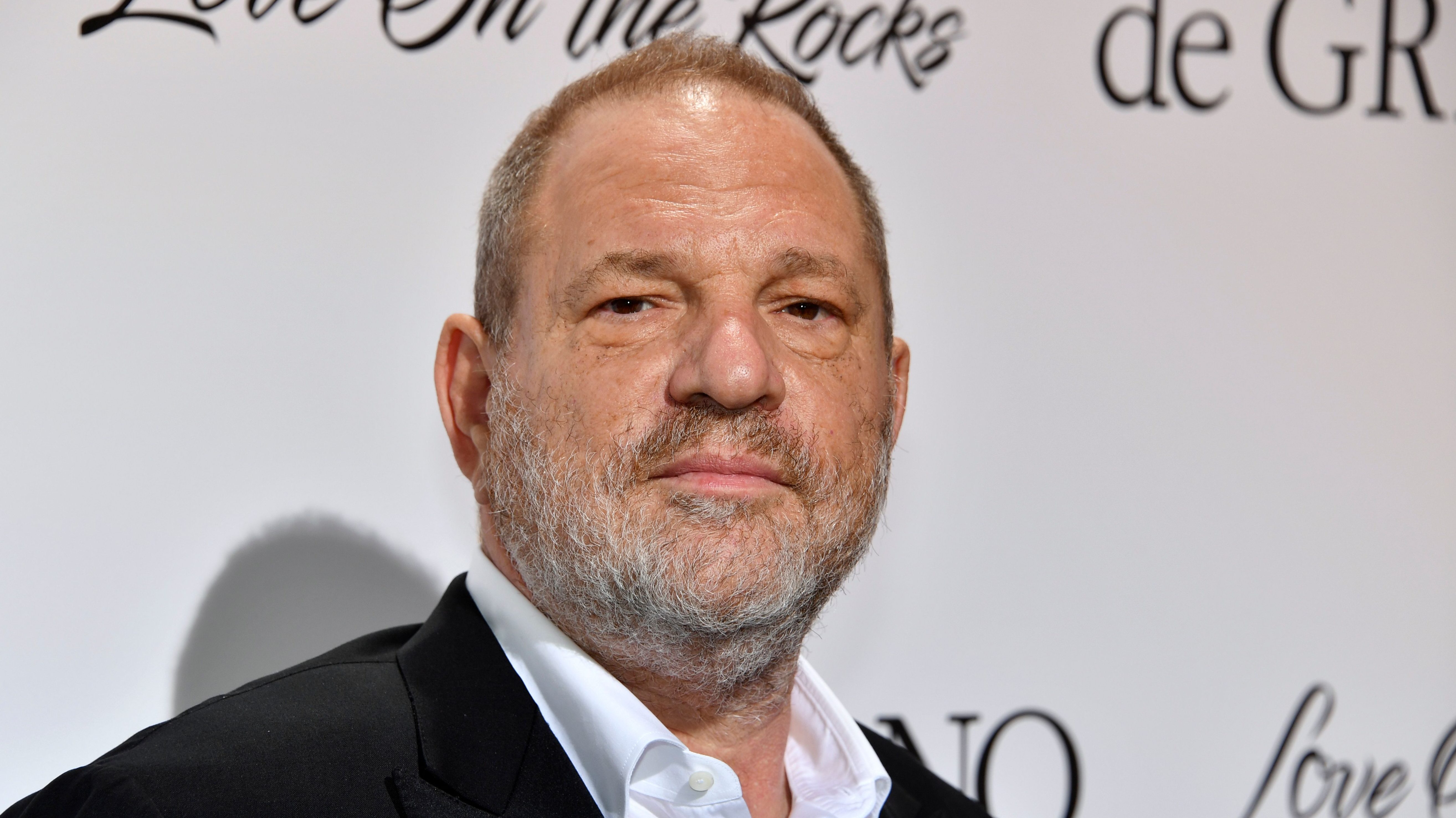 harvard weinstein