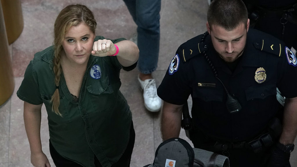 Amy Schumer gearresteerd