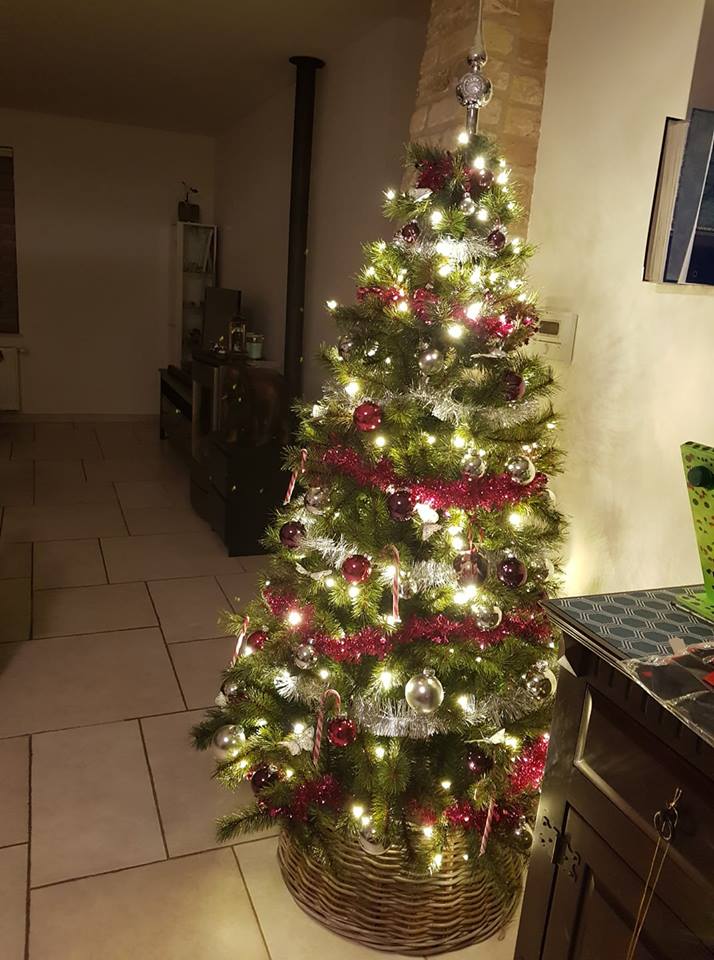 Bianca Foppen-Hitz nepkerstboom