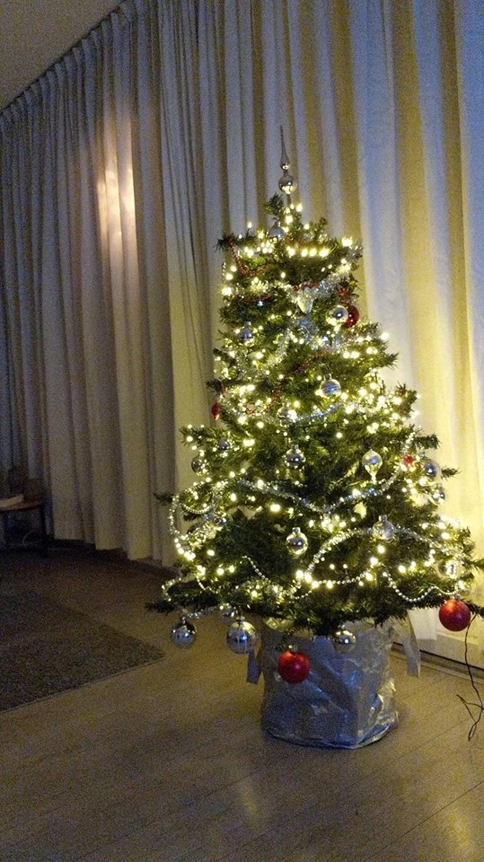 Erna Speelman nepkerstboom