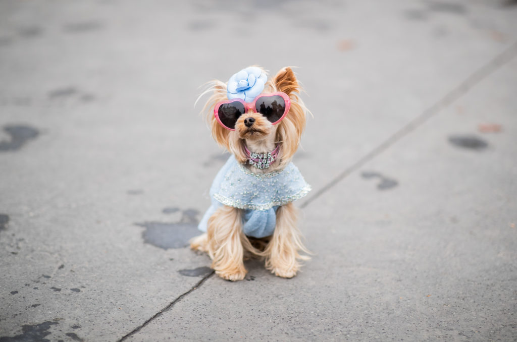 Street Style : Paris Fashion Week Womenswear Spring/Summer 2019 : Day Nine