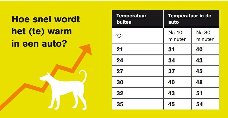 Grafiek van temperatuurtoename in auto
