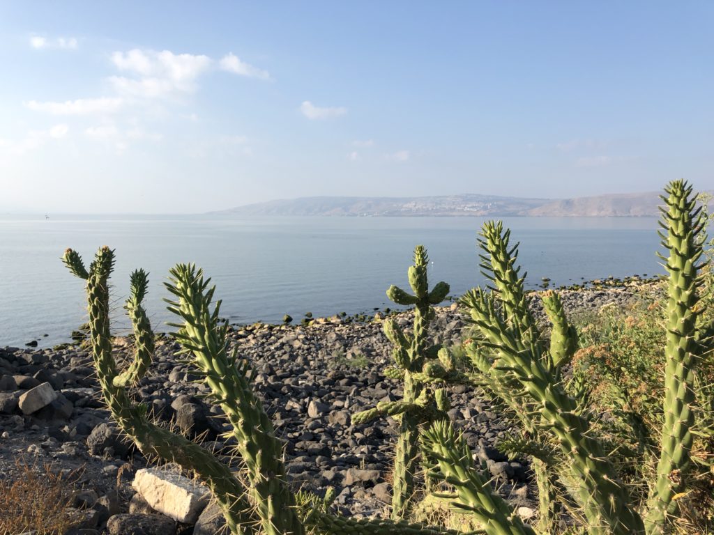 vakantie Israël