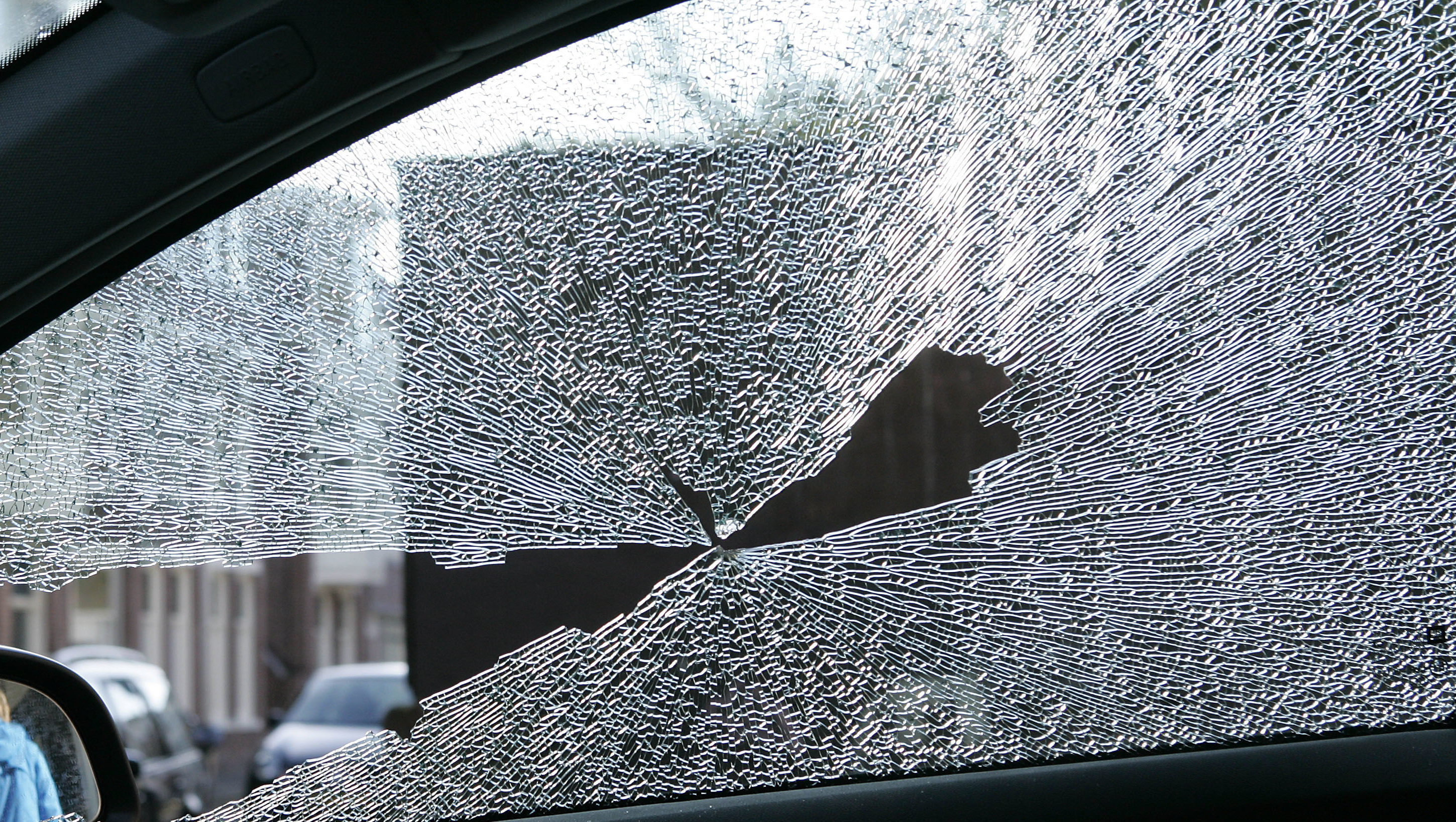 Politie honden hete auto