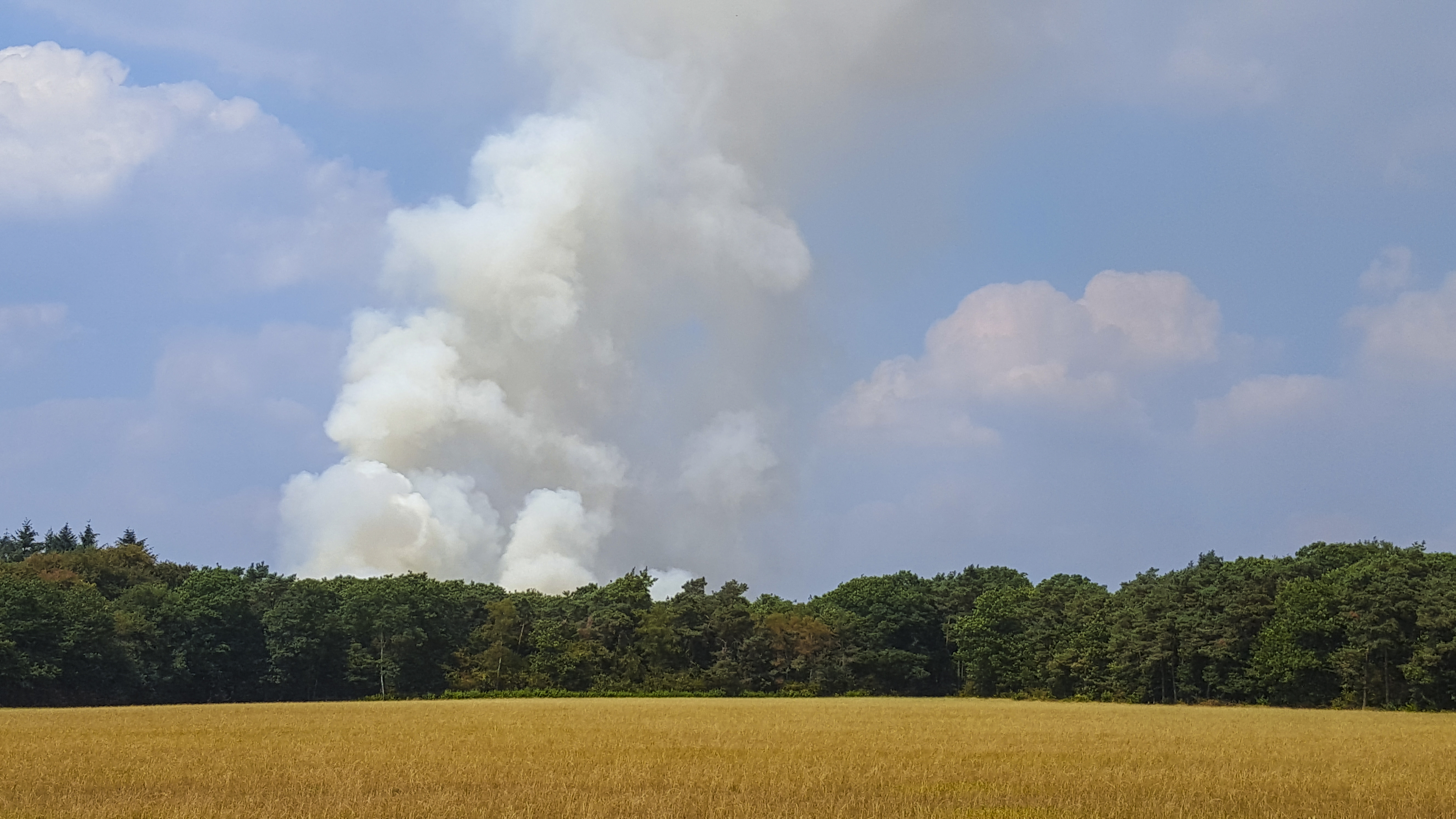 brand hoge veluwe