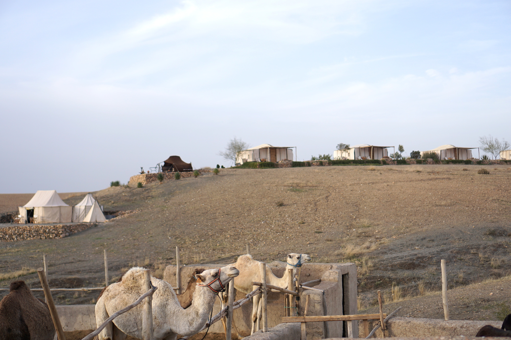 Marrakech Agafay Desert