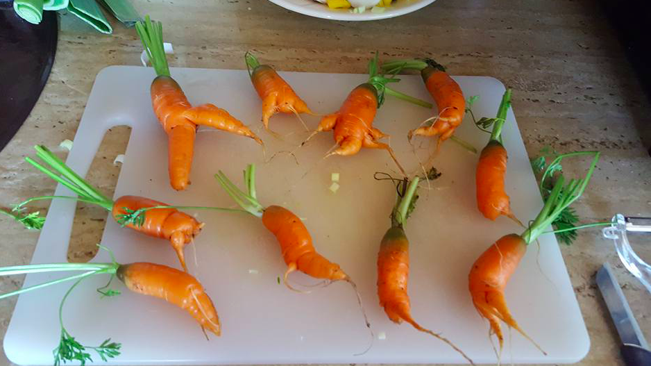 Albert Heijn moestuintjes