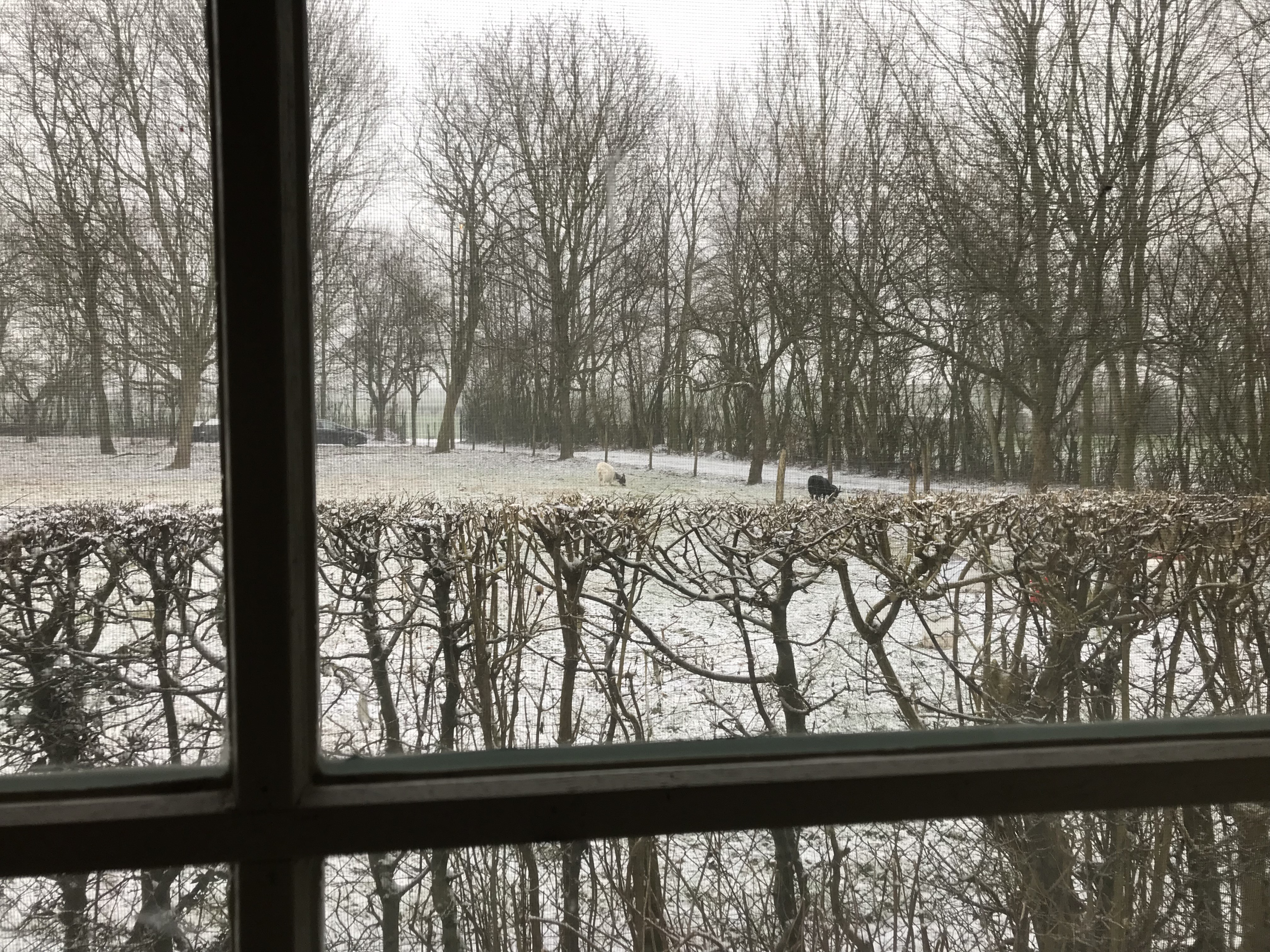 Annefleur aan het einde van haar zwangerschap.