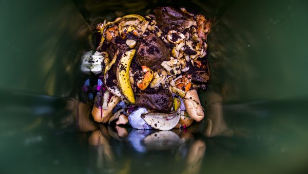 voedsel prullenbak campagne voedselverspilling