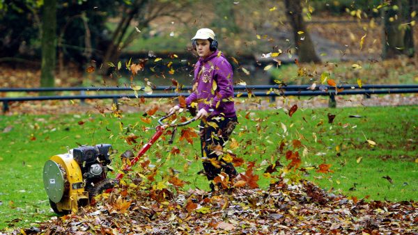 CDA pleit voor basisbaan