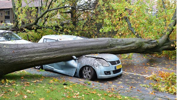 schade door storm in zuiden van Nederland