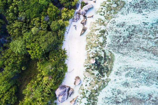 Sterrenbeeld Anse Source d'Argent beach