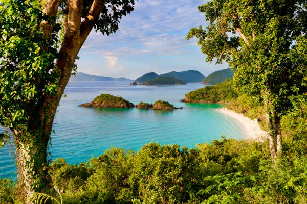 Sterrenbeeld Trunk Bay, St. John, US Virgin Islands in the Caribbean