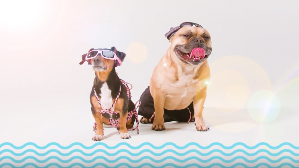 hunkemoller dogkini