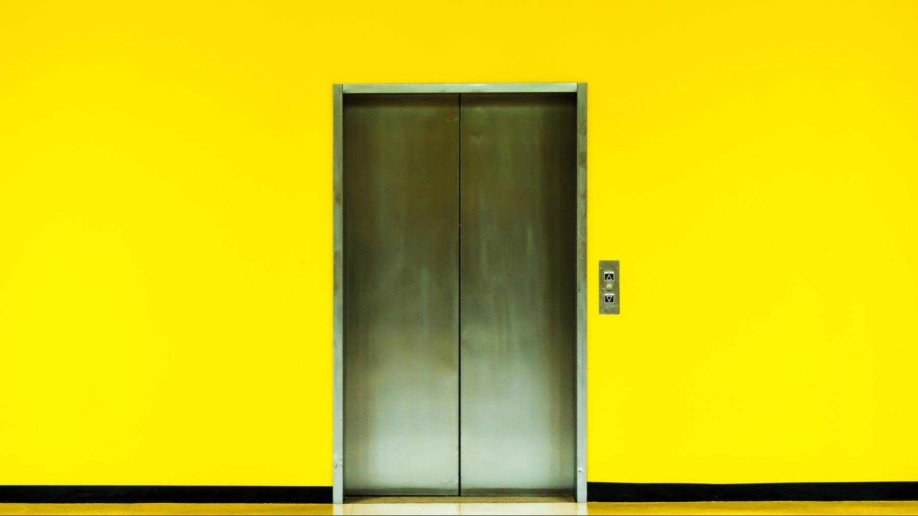 model mishandelt hond lift