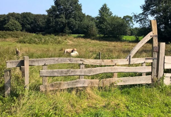 twente meivakantie