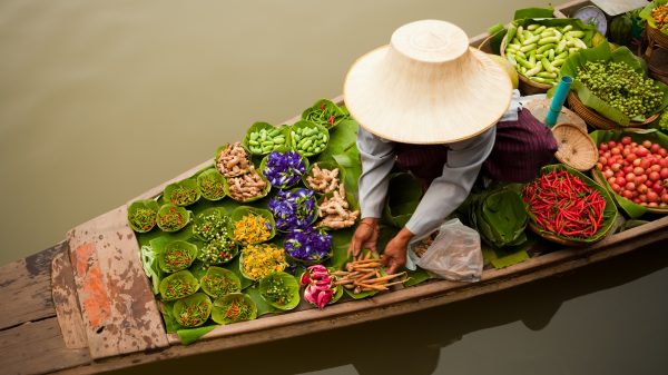 eten veganistisch wereld rondreizen