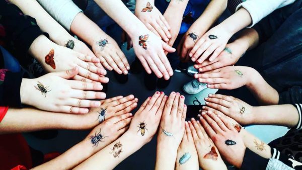 Insectentattoo van de Albert Heijn op basisschool
