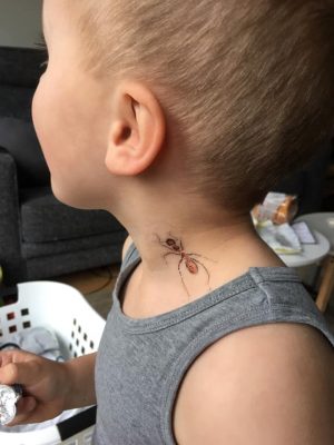 Je kunt echt heel blij worden van een rode mier in je nek