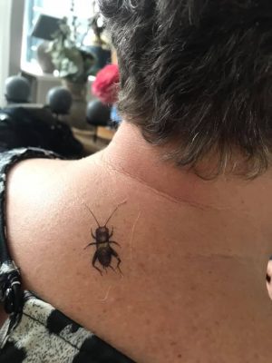 Insectentattoo van de Albert Heijn volwassenen