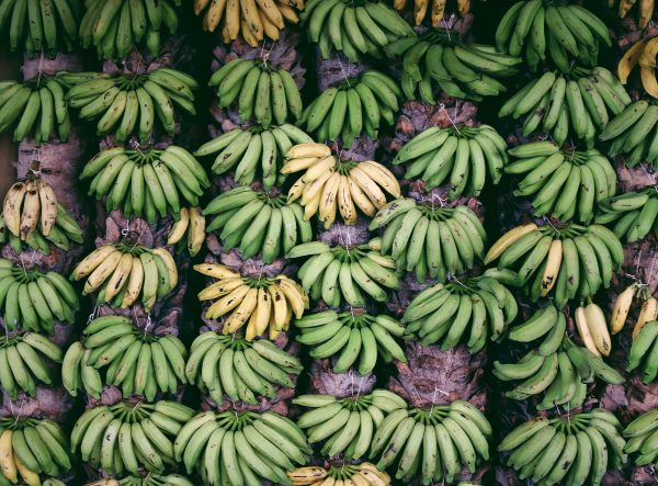 Bananenbar SUNT opent voor één dag in Amsterdam