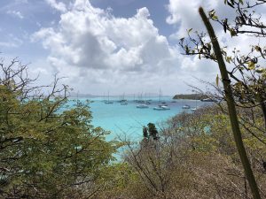 Tobago Cays