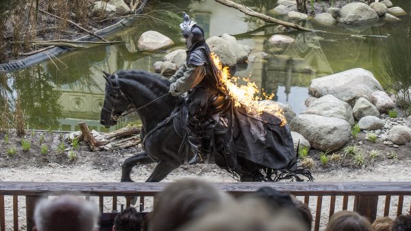 Dit zijn de standpunten van voor- en tegenstanders van paarden in de Efteling