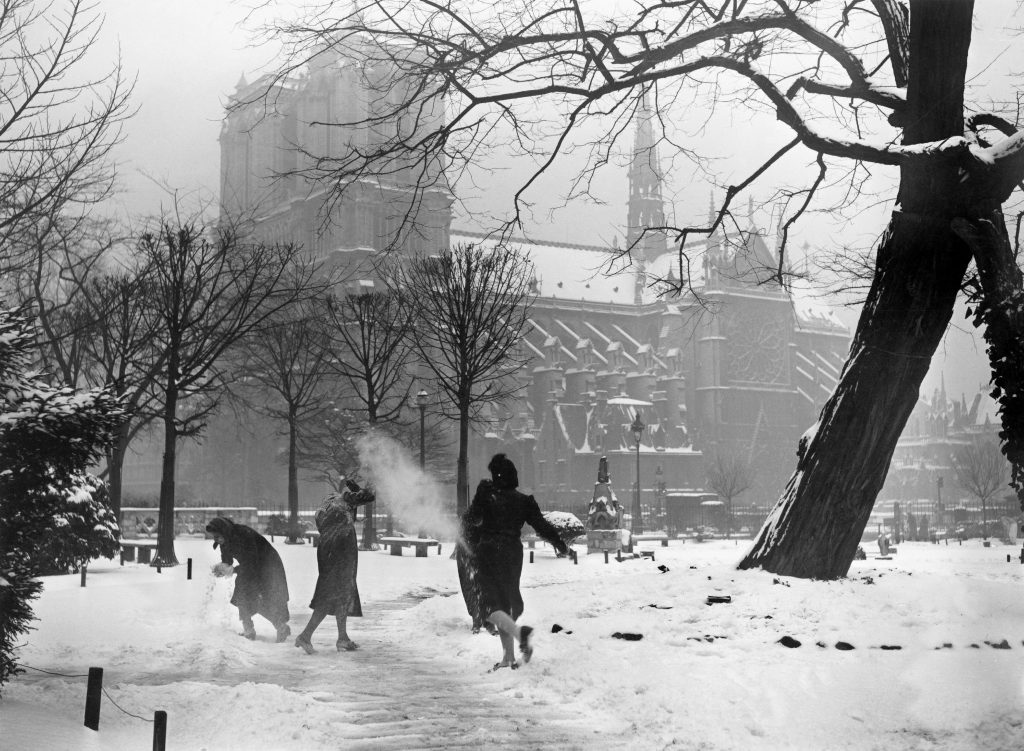 Snowball Fight In Front Of Notre Dame