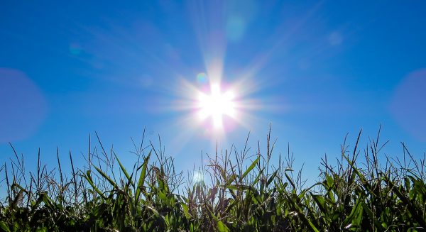 Zonnig-weer-zet-door