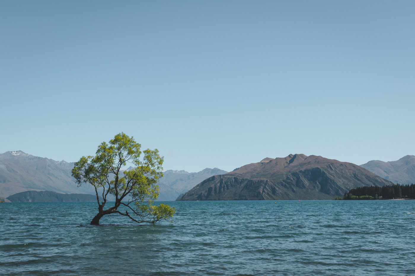 Wanaka