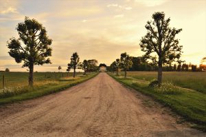 Thumbnail voor 'De Kofferbakmoord': de ontrafeling van een wrede misdaad op het Drentse platteland