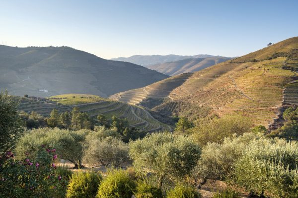 Portugal's Douro Valley slapen in wijnvaten