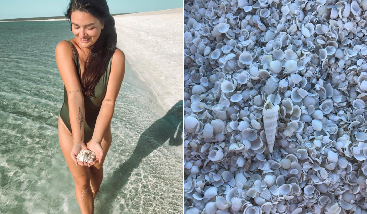 Shell Beach